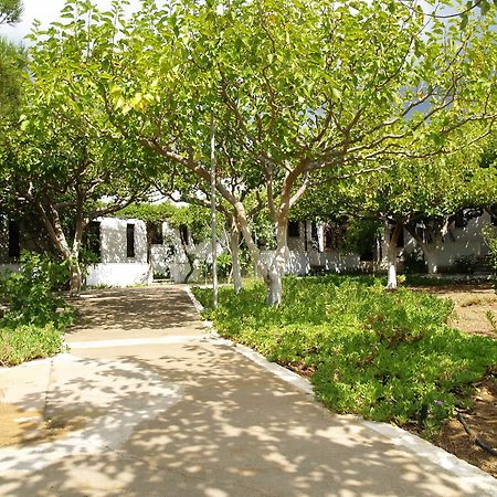 Dolphin Apartments Frangokastello Dış mekan fotoğraf